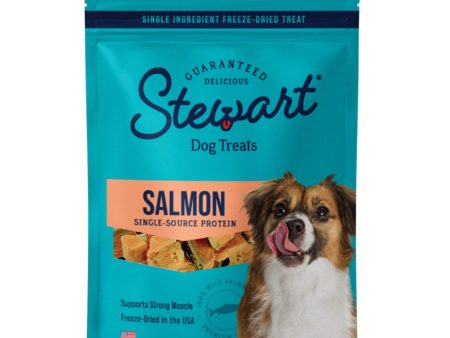 Stewart Single Ingredient Freeze Dried Dog Treats Salmon, 1ea 2.75oz. Supply