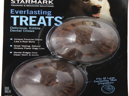 Starmark Everlasting Treat Barbeque Large 1ea 7 oz, LG Fashion