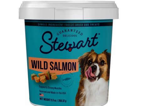 Stewart Single Ingredient Freeze Dried Dog Treats Salmon, 1ea 9.5oz. Online Hot Sale