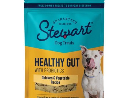 Stewart Healthy Gut Freeze Dried Dog Treats Chicken & Vegetables, 1ea 4oz. Hot on Sale