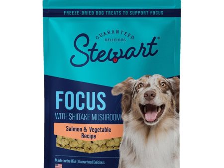 Stewart Freeze Dried Focus Dog Treats Pouch Salmon Vegetables 8oz. Hot on Sale