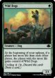 Wild Dogs [Dominaria Remastered] Supply