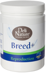 BREED PLUS 500G Online now